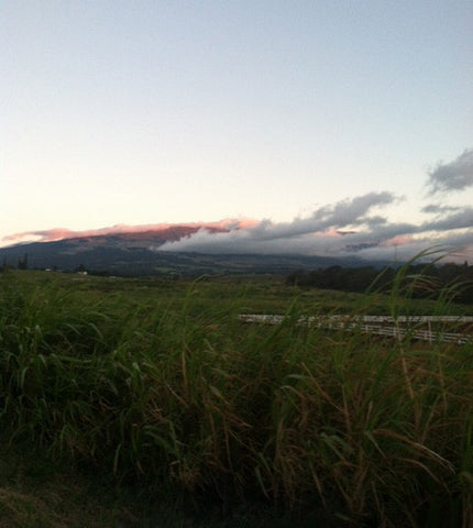 September 15th <br>An Afternoon of Past Life Regression