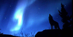 Saturday, May 17th-- <br> Voice Journey