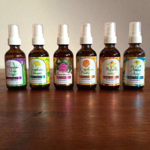 Seasons of the Soul Herbal Flower Oils