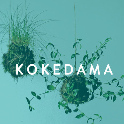 Sunday, May 18th -- Kokedama String Garden making workshop