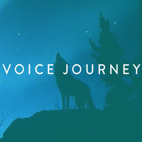 Saturday, May 17th-- <br> Voice Journey