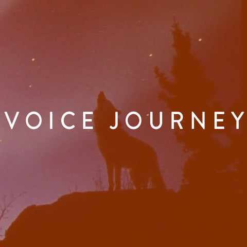 Voice Journey