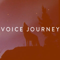 Voice Journey