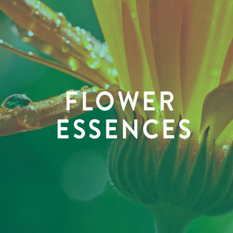 Sunday, May 18th -- Advanced Flower Essences