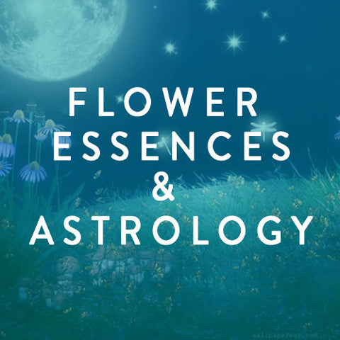 Sunday, February 2nd - Forgotten Treasure: Astrology & Flower Essence Workshop