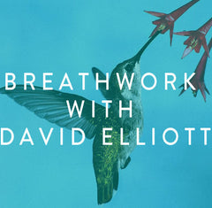 Friday, November 22nd – Breathwork with David Elliott: Activation