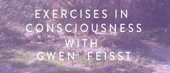 Tuesday, November 19th – Exercises in Consciousness Meditation with Gwen Feisst