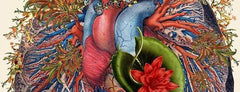 Thursday, April 24th -- <br>Somatic Yoga