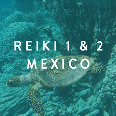 March 8th & 9th -- Reiki 1 & 2 in Mazunte, Mexico